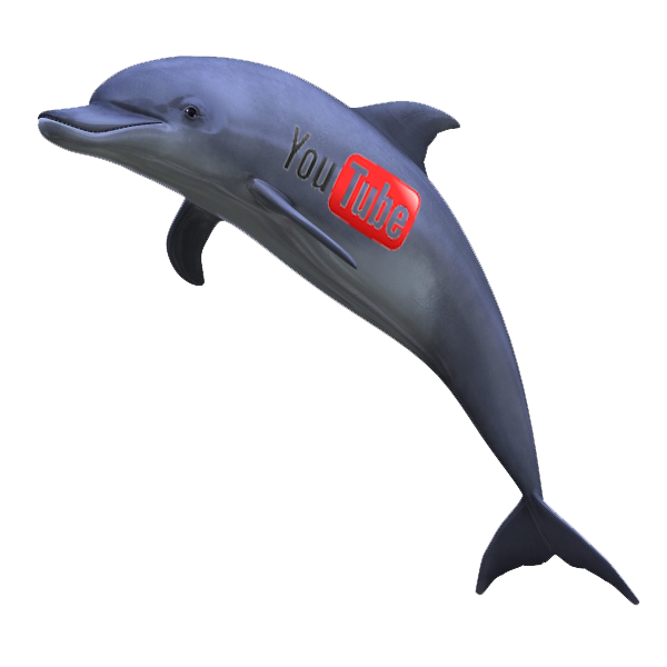 holly white youtube dolphin